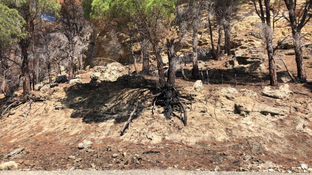 Incendi
