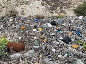 Legambiente Pneumatici 2