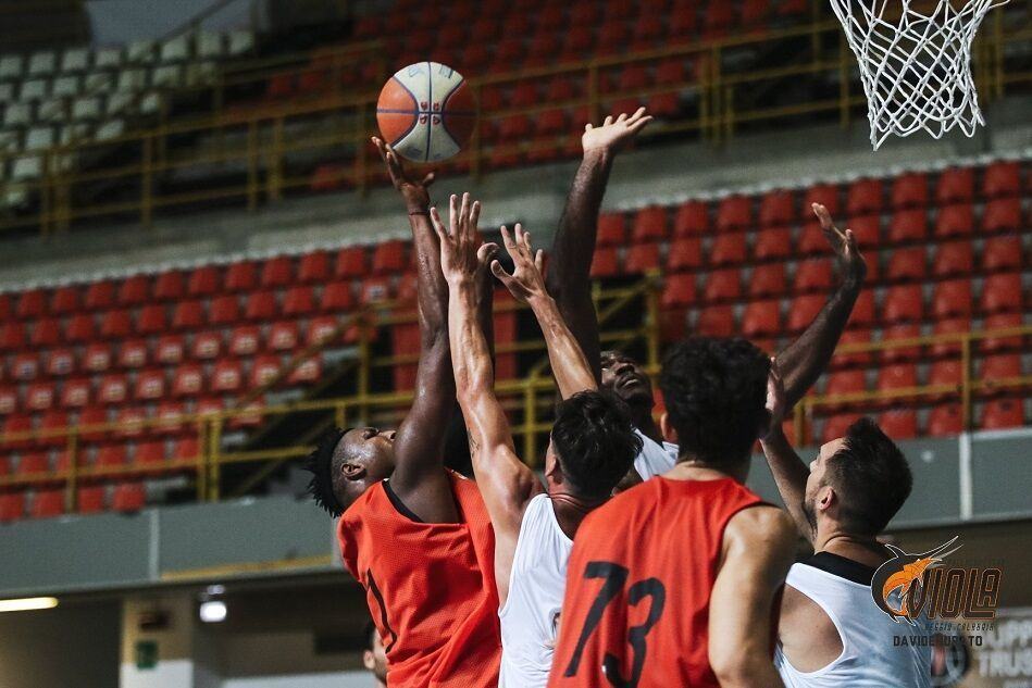 Pallacanestro Viola Vis Reggio Calabria