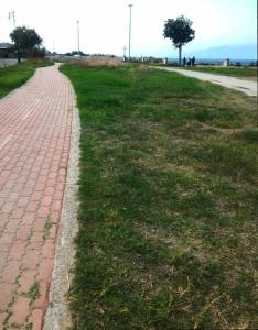 Plastic Free Tempietto 4