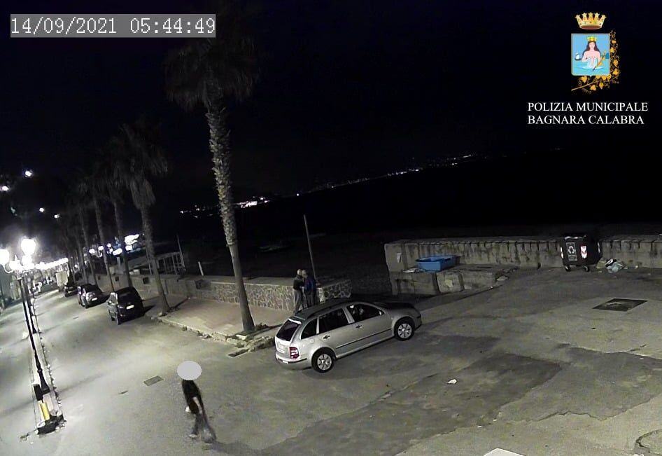 Telecamere Rifiuti Bagnara 6