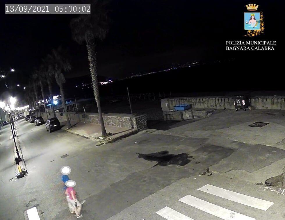 Telecamere Rifiuti Bagnara