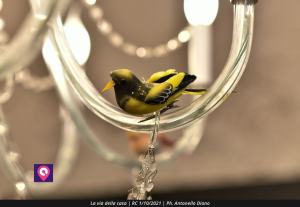 La Via Della Casa Creaco (121)