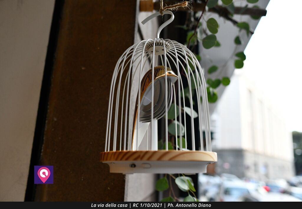 La Via Della Casa Creaco (24)