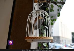 La Via Della Casa Creaco (24)