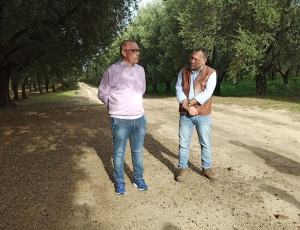 Camminata Tra Gli Olivi 2