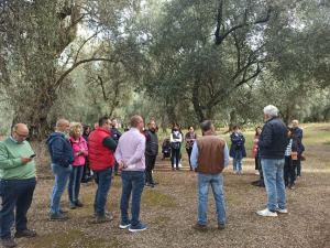 Camminata Tra Gli Olivi 3