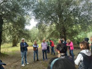 Camminata Tra Gli Olivi 4
