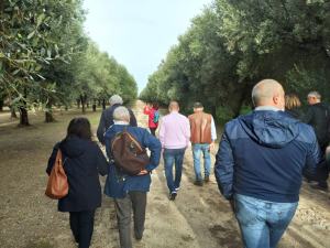 Camminata Tra Gli Olivi 6