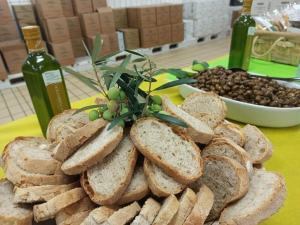 Camminata Tra Gli Olivi 7