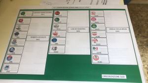 Elezini Regionali Reggio Calabria (3)