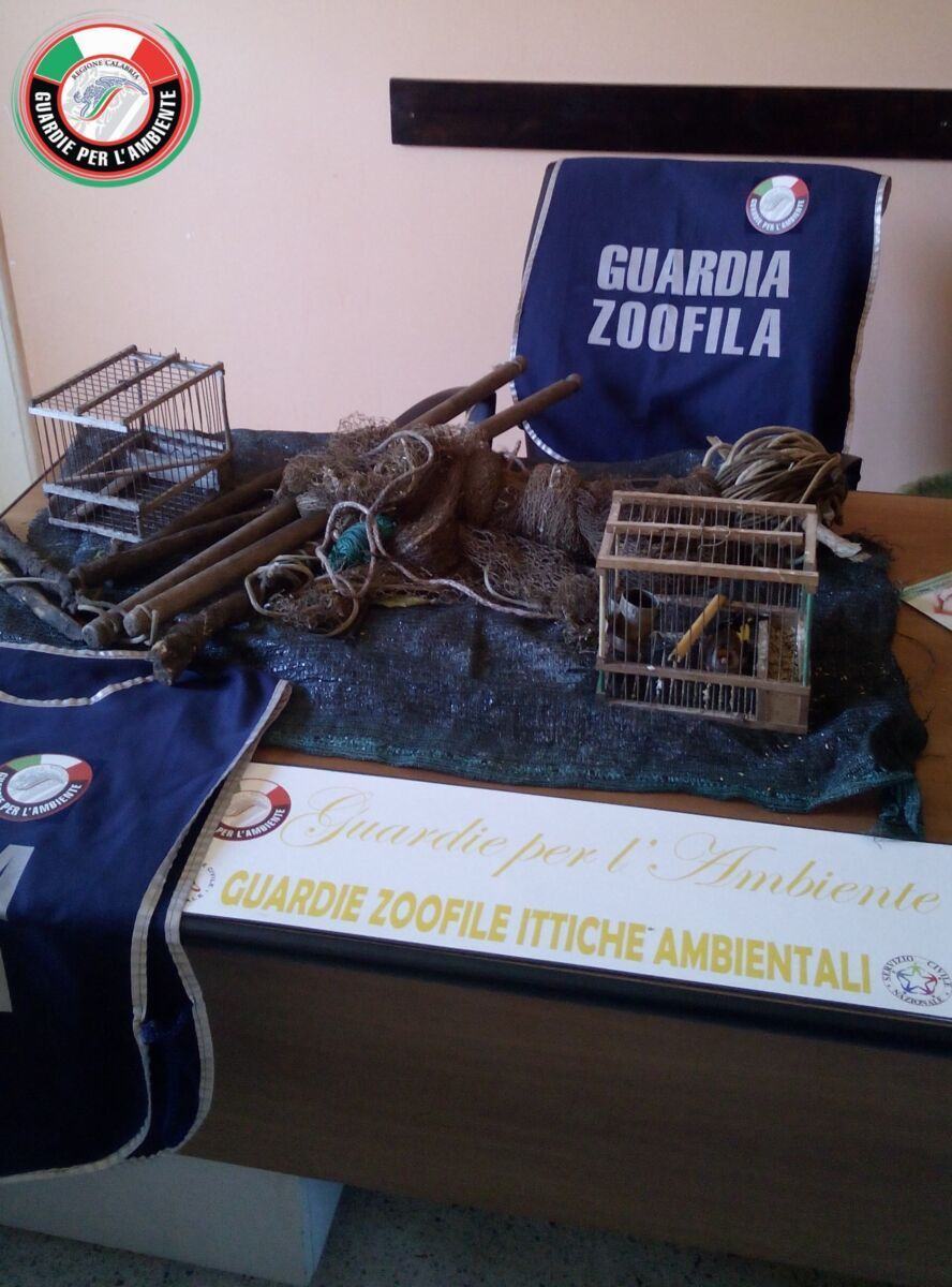 Guardia Zoofila