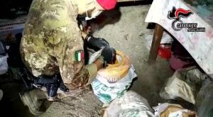 Molochio Nascondeva Munizioni