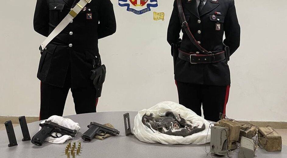 PALMI ARRESTATO 52ENNE DI MESSIGNADI TROVATO IN POSSESSO DI DUE PISTOLE RINVENUTI ANCHE GHIRI NEL FREEZER DI CASA