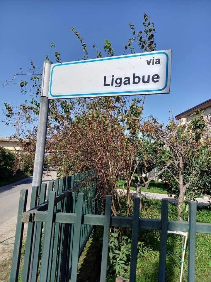 Via Ligabue Cinquefrondi 4