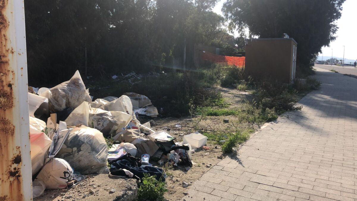 WhatsApp Image 2021 11 10 At 12 16 18