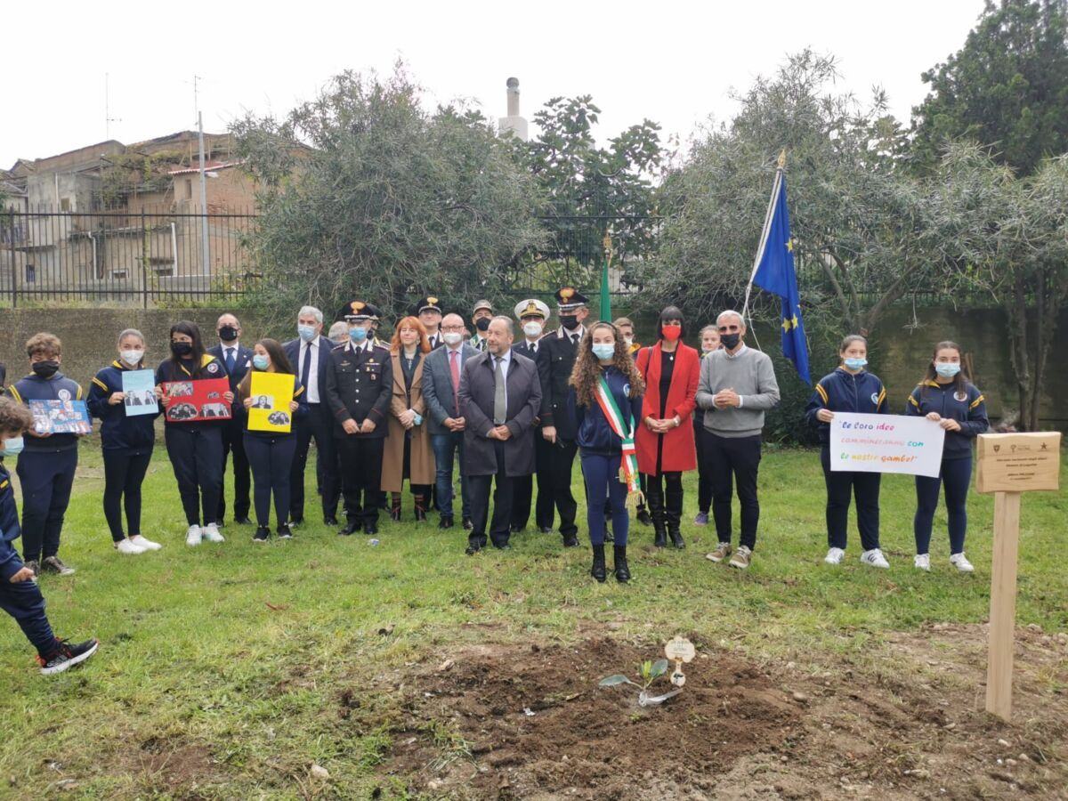 Bambini Scuola Albero Futuro Falcone 4