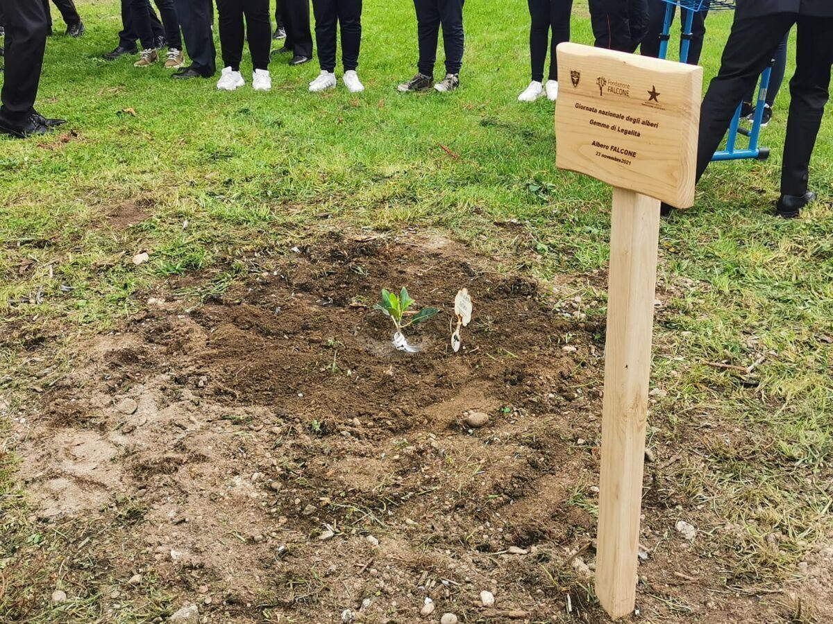 Bambini Scuola Albero Futuro Falcone 5