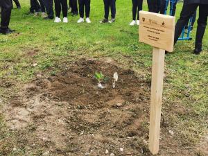 Bambini Scuola Albero Futuro Falcone 5
