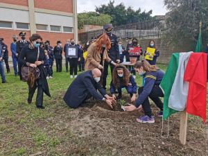 Bambini Scuola Albero Futuro Falcone 9