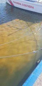 Fioriture Algali Porto Roccella Jonica 1