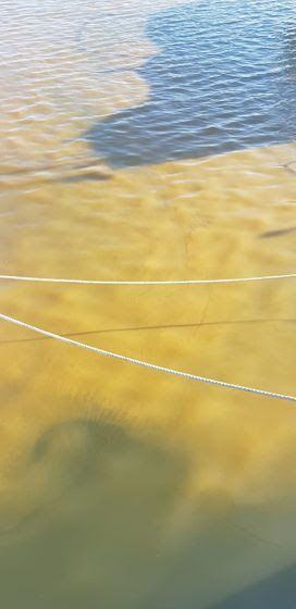 Fioriture Algali Porto Roccella Jonica