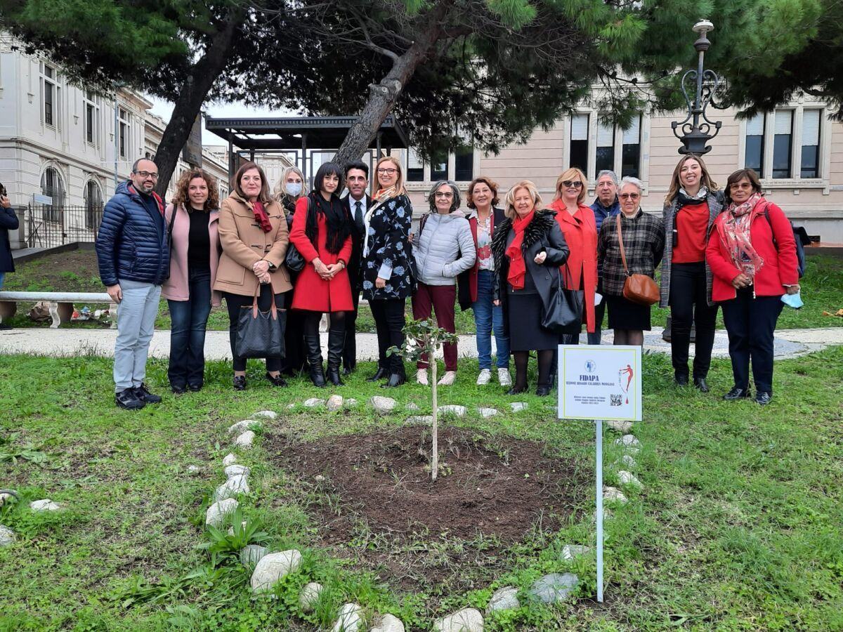 Hibicus Rosso Albero 25 Novembre Fidapa 1