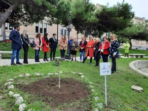 Hibicus Rosso Albero 25 Novembre Fidapa 2