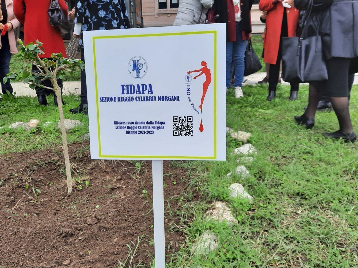 Hibicus Rosso Albero 25 Novembre Fidapa 3