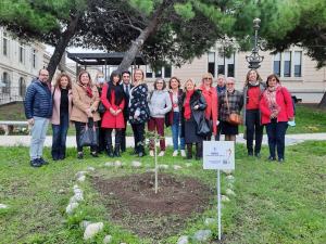 Hibicus Rosso Albero 25 Novembre Fidapa
