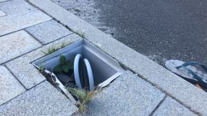 Parco Lineare Sud (10)