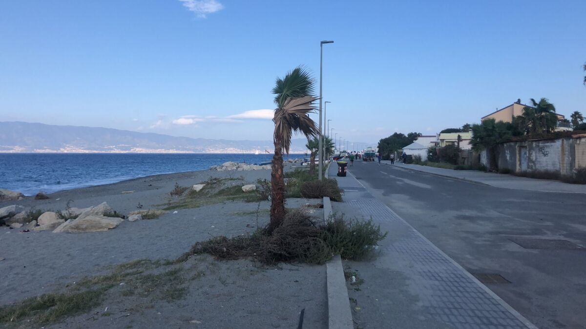 Parco Lineare Sud (4)