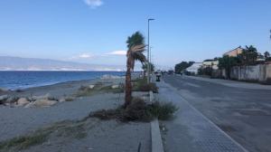 Parco Lineare Sud (4)