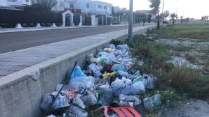 Parco Lineare Sud (8)