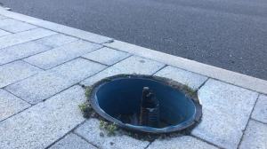 Parco Lineare Sud (9)