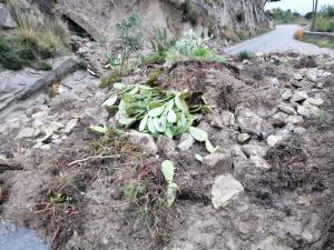 Smottamento Motta San Giovanni 7