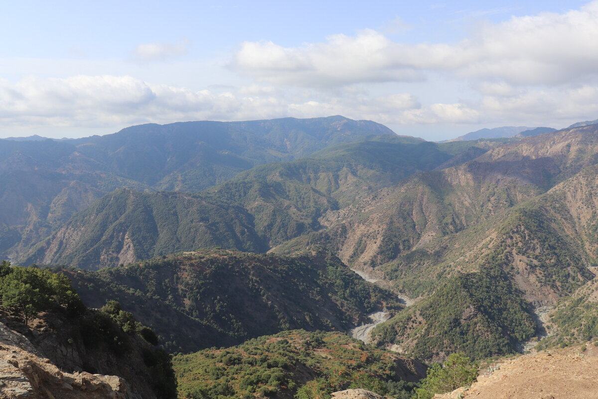 04 Panoramica Di Alcune Delle Aree Coltivate E Dei Pascoli Oggetto Della Ricerca La Fiumara La Verde In Basso