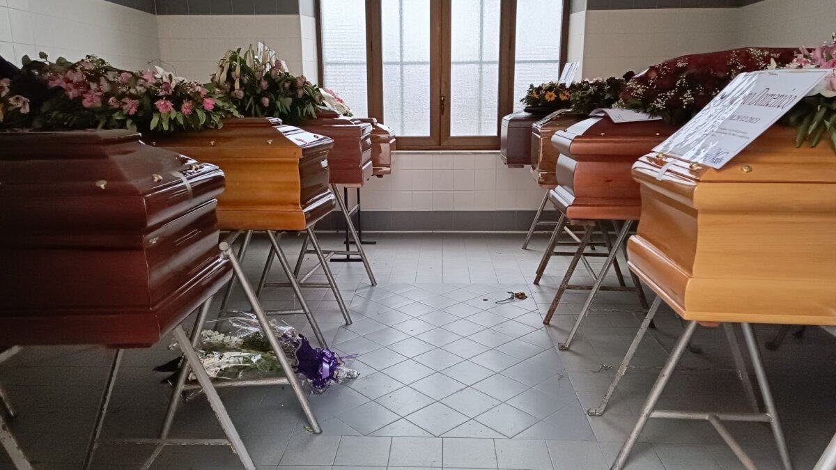 WhatsApp Image 2022 01 11 At 14 45 17