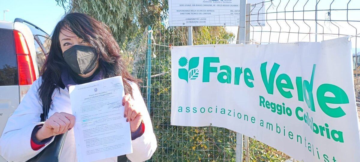Fare Verde Abbattimento Alberi Condera