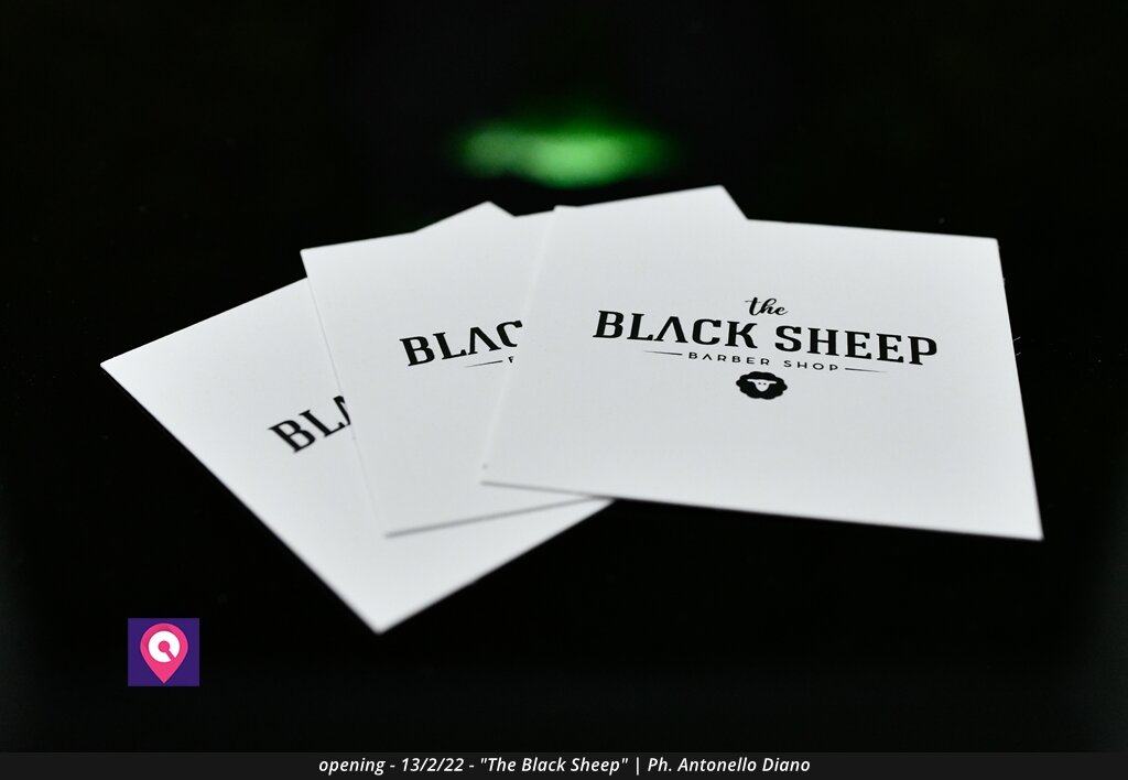 Black Sheep (13)