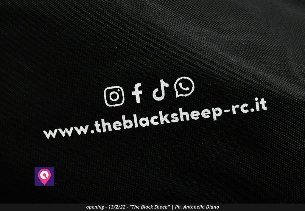 Black Sheep (17)