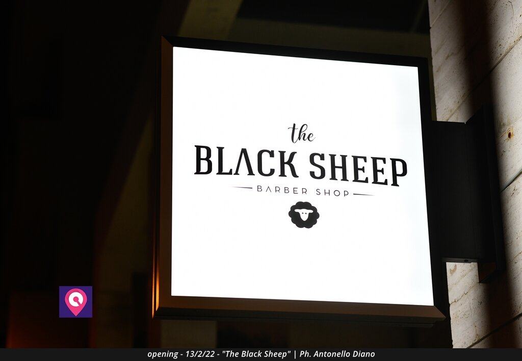 Black Sheep (80)