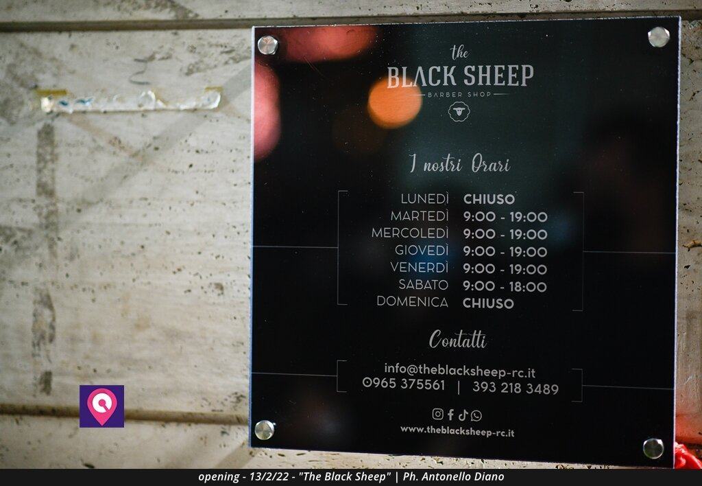 Black Sheep (88)