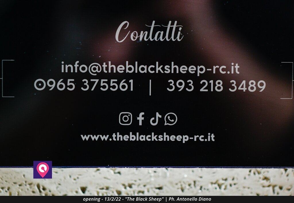 Black Sheep (89)