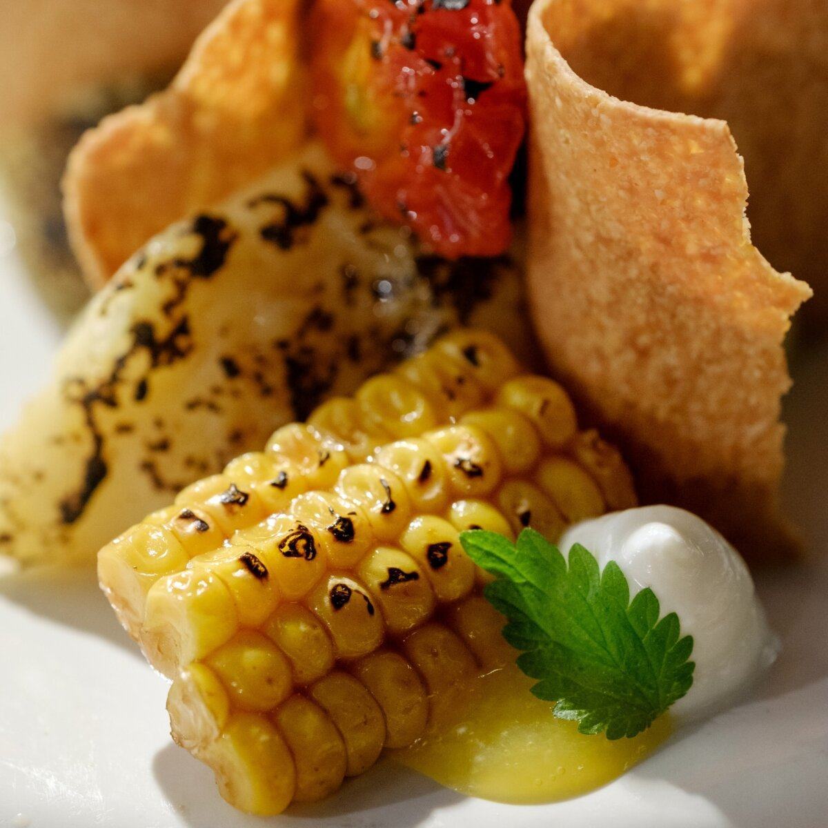 Cucina Piro Bistrot6