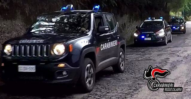 TAURIANOVA CONTROLLI SERRATI SU TUTTO IL TERRITORIO ARRESTI, DENUNCE, SANZIONI PER OLTRE 5 000 €