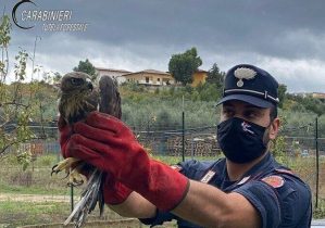 Carabinieri Forestali 2