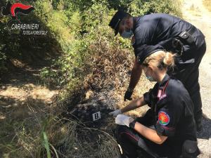 Carabinieri Forestali 4