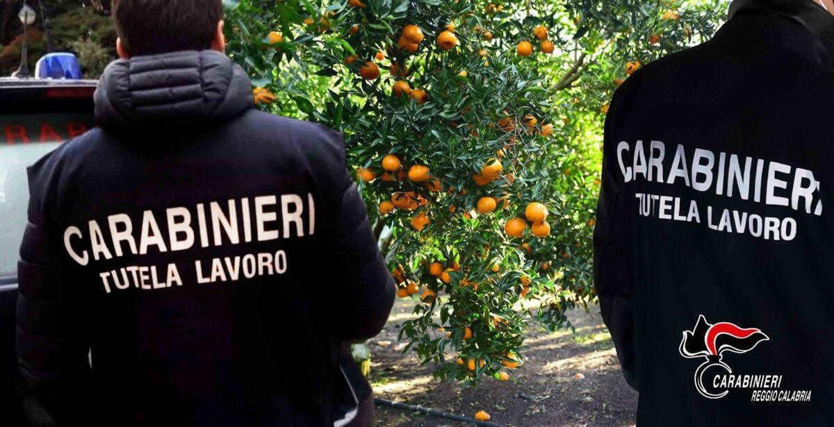 Carabinieri Tutela Del Lavoro