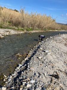 Fare Verde Spiaggia Marinella Catona 2
